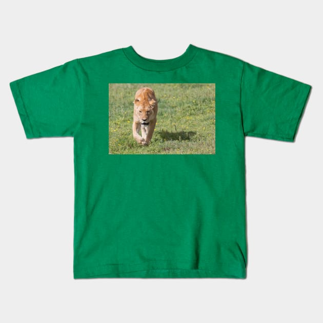 Lioness Kids T-Shirt by yairkarelic